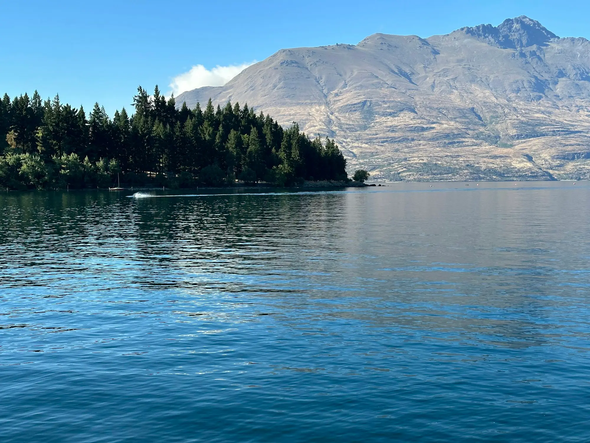 Tourism operator's jet boat on Lake Wakatipu near Queenstown with the Remarkables behind